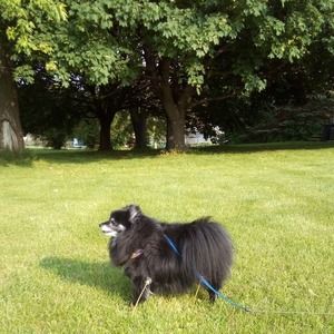 Meet your Posher, Randy